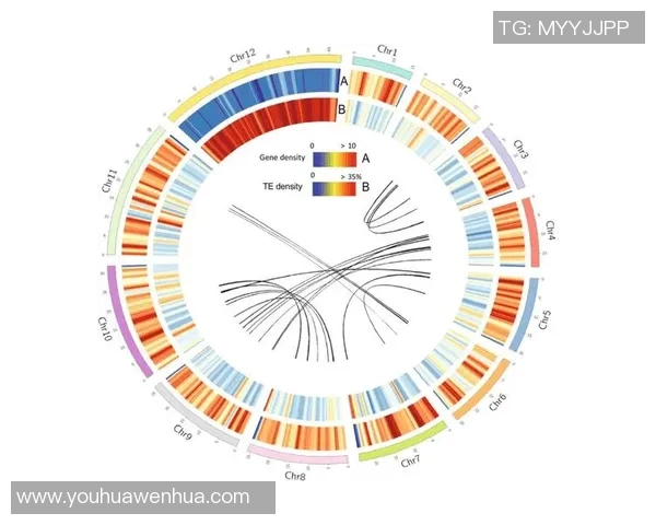 杭州乒乓球队战术解析与对比探讨全面剖析其优势与不足