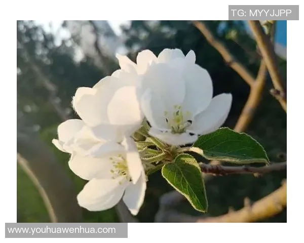 攀岩人生的深度对话:陈秀英如何在挑战中找到自我与力量