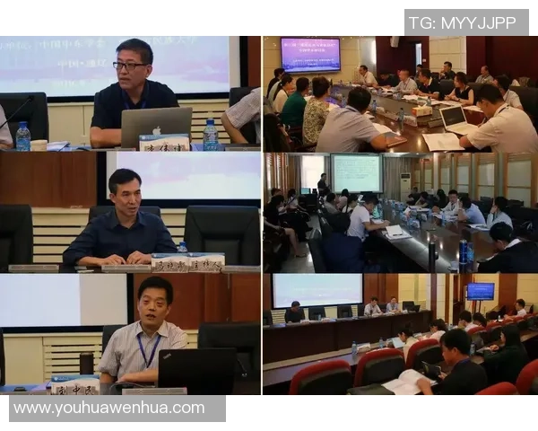 深入探讨埃及足球各级别联赛的结构与发展现状